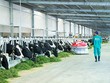 TP.HCM sẽ hình thành KCN dành cho DN khởi nghiệp ứng dụng công nghệ cao