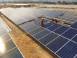 Tín dụng dành cho năng lượng tái tạo (còn gọi là tín dụng xanh) được NHNN khuyến khích đẩy mạnh..