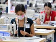 Thủ tướng giao Bộ Công Thương xử lý vướng mắc ngành dệt may. Ảnh minh họa: Hoàng Hà.