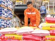 DPM: Nửa đầu năm ra lò nhiều sản phẩm mới
