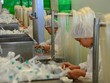 Dự báo Kl993 nền tảng giải trí FDI vào Việt Nam vẫn thuận lợi