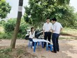 Gốc cây nào cũng có thể đặt “sàn giao dịch” đất nền