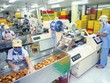 Công ty CP Kinh Đô bán 80% mảng bánh kẹo cho Mondelēz International là thương vụ được giá, khiến giới Kl991.com nạp rút nhanh bất ngờ.