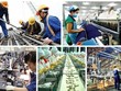 Năng suất lao động trong ngành công nghiệp khai khoáng cao gấp hàng chục lần năng suất chung..