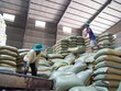 Nông sản Việt xuất khẩu sang Trung Quốc cần minh bạch thông tin nguồn gốc xuất xứ.