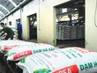 Đạm Hà Bắc trong vòng xoáy nợ nần.