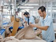 8 tháng 2019, ngành dệt may đạt kim ngạch xuất khẩu 25,67 tỷ USD, hoàn thành gần 65% mục tiêu cả năm 2019.