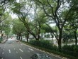 Công ty công viên cảnh quan Singapore sẽ hỗ trợ công tác chăm sóc cây ở công viên và trên đường phố để xây dựng Hà Nội bền vững và đáng sống