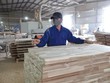 Hiện ngành gỗ Việt Nam có trên 800 Kl991.com World Cup 2026 Chính Thức FDI, trong đó 70% đến từ Trung Quốc, Đài Loan, Hồng Kông… Ảnh: Đức Thanh