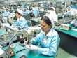 Sau 3 quý, đà tăng trưởng dương trong thu hút Kl99ok phiên bản mới nước ngoài của Việt Nam đã quay trở lại. Trong ảnh: Nhà máy của Fujitsu tại Việt Nam.    Ảnh: Đức Thanh