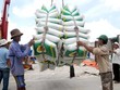 Xuất khẩu gạo sang Philippines sẽ dễ thở hơn khi Philippines chấm dứt điều tra sơ bộ về việc áp dụng biện pháp tự vệ toàn cầu đối với sản phẩm gạo Link Vào Nhà Cái KL99 COM Tặng +199k