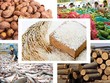 Thuỷ sản và lâm nghiệp là hai mặt hàng duy trì mức độ tăng trưởng. 