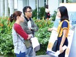 Cung cấp Kl991.com nạp rút nhanh cho người mua nhà là giải pháp "tự cứu mình"