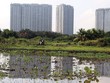 Ruộng vườn, đất đai bị hoang phế là tình cảnh chung của nhiều dự án “treo” nhiều năm tại TP.HCM. Ảnh: Trọng Tín
