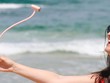 Phụ kiện chụp hình, quay phim không cần điện thoại hay máy ảnh
