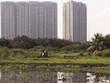 Ruộng vườn, đất đai bị hoang phế là tình cảnh chung của nhiều dự án "treo" suốt nhiều năm tại TP.HCM. Ảnh: Trọng Tín.
