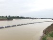 Ảnh minh họa (nguồn internet)