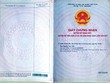 Sổ đỏ giả bị UBND phường Thạnh Xuân (quận 12, TP.HCM) phát hiện.