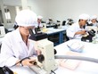 Kl993 nền tảng giải trí FDI là động lực quan trọng thúc đẩy Kl992 cổng game cá cược Việt Năm tăng trưởng năng động trong hơn 3 thập kỷ qua. Ảnh: Đức Thanh