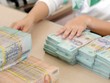 Với thủ tục dễ dàng, cho vay tiêu dùng của các công ty Kl991.com nạp rút nhanh đang tăng trưởng nóng. Ảnh: Đức Thanh
