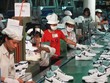 Adidas và Nike đều đang gia tăng Kl994 nhà cái bóng đá world cup tại Việt Nam.