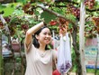 “Còi cọc” Web Tổng Nhà Cái 99Kl99 Giải Trí Bậc Nhất nông nghiệp