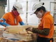 Năm 2020, Tổng cục Lâm nghiệp đặt mục giá trị xuất khẩu lâm sản đạt từ 12,5 tỷ USD.