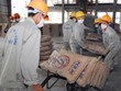 Quy mô công suất ngành xi măng Việt Nam hiện đã vượt 100 triệu tấn/năm. Ảnh: Đức Thanh