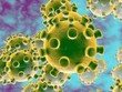 Đà Nẵng: Bệnh nhân Trung Quốc tử vong không phải do virus Corona