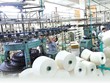 Nhìn lại một năm thực hiện CPTPP
