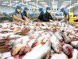 Nông sản của nước ta như thủy sản, rau quả... vẫn vấp phải những hạn chế do thiếu tính đồng nhất trong từng lô hàng xuất vào EU.