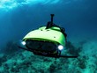Sử dụng robot để bảo vệ san hô