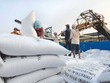 Xuất khẩu gạo ghi nhận mức tăng trưởng khá sau 2 tháng đầu năm 2020, đạt Riêng gạo đạt 372 triệu USD, tăng 20,5% .