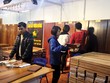 Ngành gỗ nội thất… đi lệch