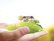 Ảnh: Shutterstock