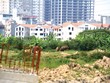 Nghị định 25, nhiều nhóm dự án được “cởi trói”