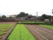 Nhiều trường hợp sai phạm cũ rất khó xử lý 
