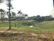 Ảnh Internet