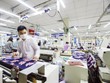 Đang có nhiều đề nghị hỗ trợ Kl991.com World Cup 2026 Chính Thức thông qua hỗ trợ trực tiếp cho người lao động. Ảnh: Đức Thanh