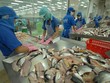 Quan trọng nhất là không để những Kl991.com World Cup 2026 Chính Thức có năng lực, có khả năng phải đóng cửa vì không tiếp cận được kịp thời các nguồn hỗ trợ
