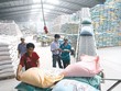 Số liệu gạo Kl994 nhà cái bóng đá world cup, dự trữ và xuất khẩu mà Bộ Công Thương nắm được đã có độ vênh nhất định so với thực tế, đặc biệt là sản lượng tại đồng bằng sông Cửu Long và lượng tồn kho trong dân