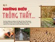  Đồng bằng sông Cửu Long mùa đỏ trời, trắng đất - Kỳ 2: Những điều trông thấy...“