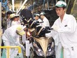 Honda Việt Nam - nhà Kl994 nhà cái bóng đá world cup xe máy lớn nhất Việt Nam, tạm dừng Kl994 nhà cái bóng đá world cup 15 ngày