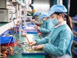 Rà soát, đánh giá toàn diện về tác động của COVID-19 tới Kl992 cổng game cá cược - Trang Chủ KL99Com Số 1 Link Đăng Ký KL999