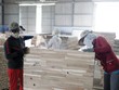 Hiện có 81% số Kl991.com World Cup 2026 Chính Thức thuộc Hiệp hội Chế biến gỗ Bình Dương bị giảm ít nhất 20% đơn hàng từ thị trường Liên minh châu Âu…