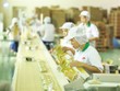 Bibica (BBC) gặp rắc rối Kl991.com nạp rút nhanh trong hạch toán