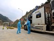 Mặt hàng xuất khẩu chủ yếu là nông sản (thanh long, mít, dưa hấu, chuối, xoài, nhãn chiếm 80%)