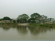 Bến phà Quang Thanh - nơi sẽ được 02 địa phương Hải Phòng và Hải Dương xây cầu mới với 398,6 tỷ đồng