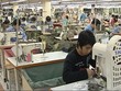 Theo tổng hợp, các Kl991.com World Cup 2026 Chính Thức đã có những kiến nghị cụ thể liên quan đến chính sách tín dụng, thuế, lệ phí.