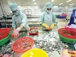 Thiếu nguyên liệu chưa phải là mối lo lớn nhất của các Kl991.com World Cup 2026 Chính Thức chế biến thủy sản. Ảnh: Đức Thanh
